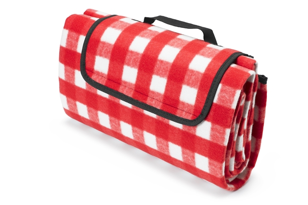 Waterproof Picnic Blanket - Red & White Gingham - Small (150cm x 130cm)